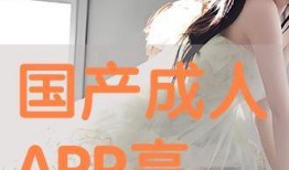 成人国产网,探索成人世界的虚拟空间