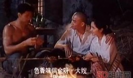 国产三级合集,揭秘中国影视界的隐秘角落